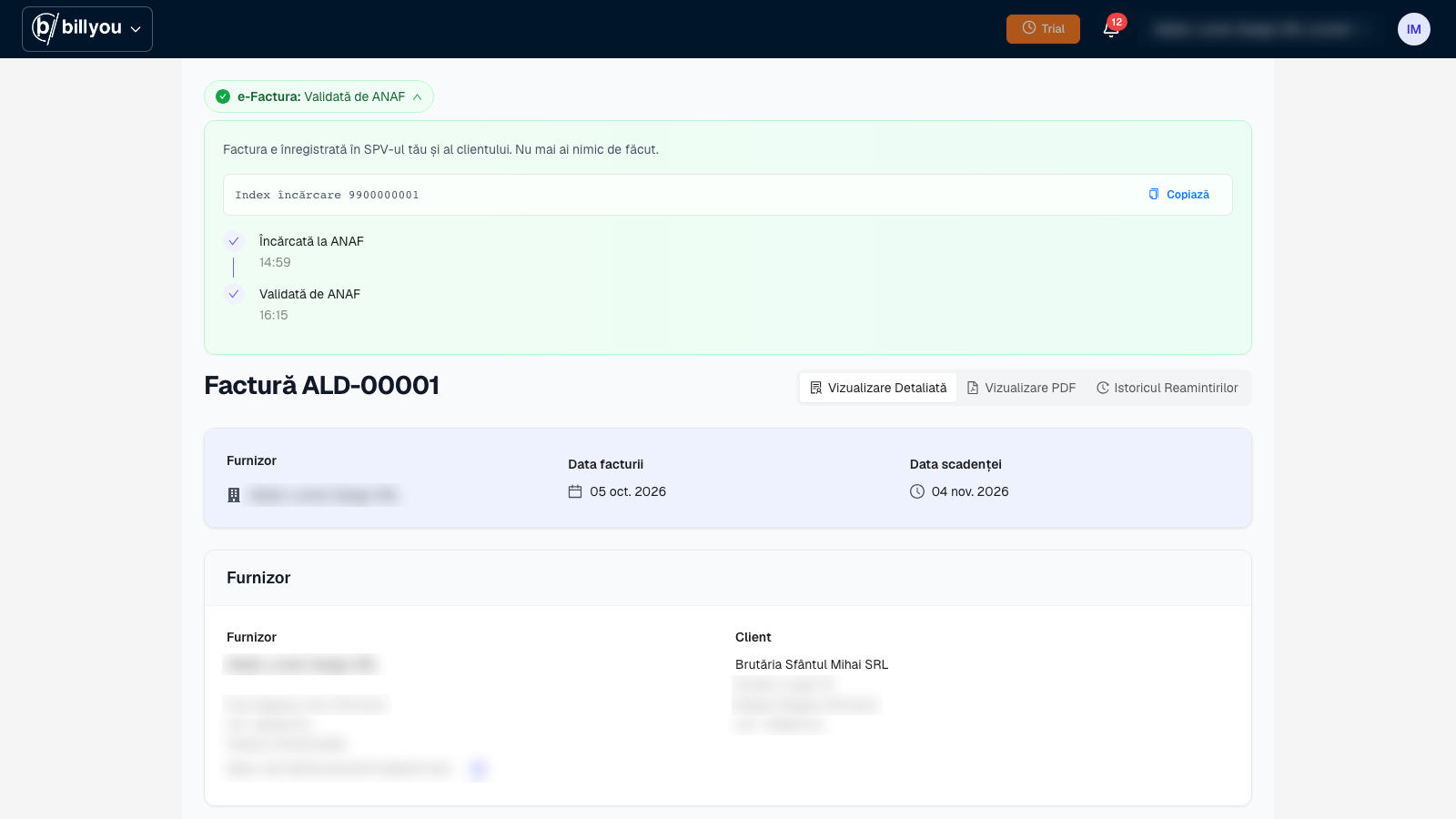 Invoice validated by ANAF, with its e-Invoice status in the Billyou app